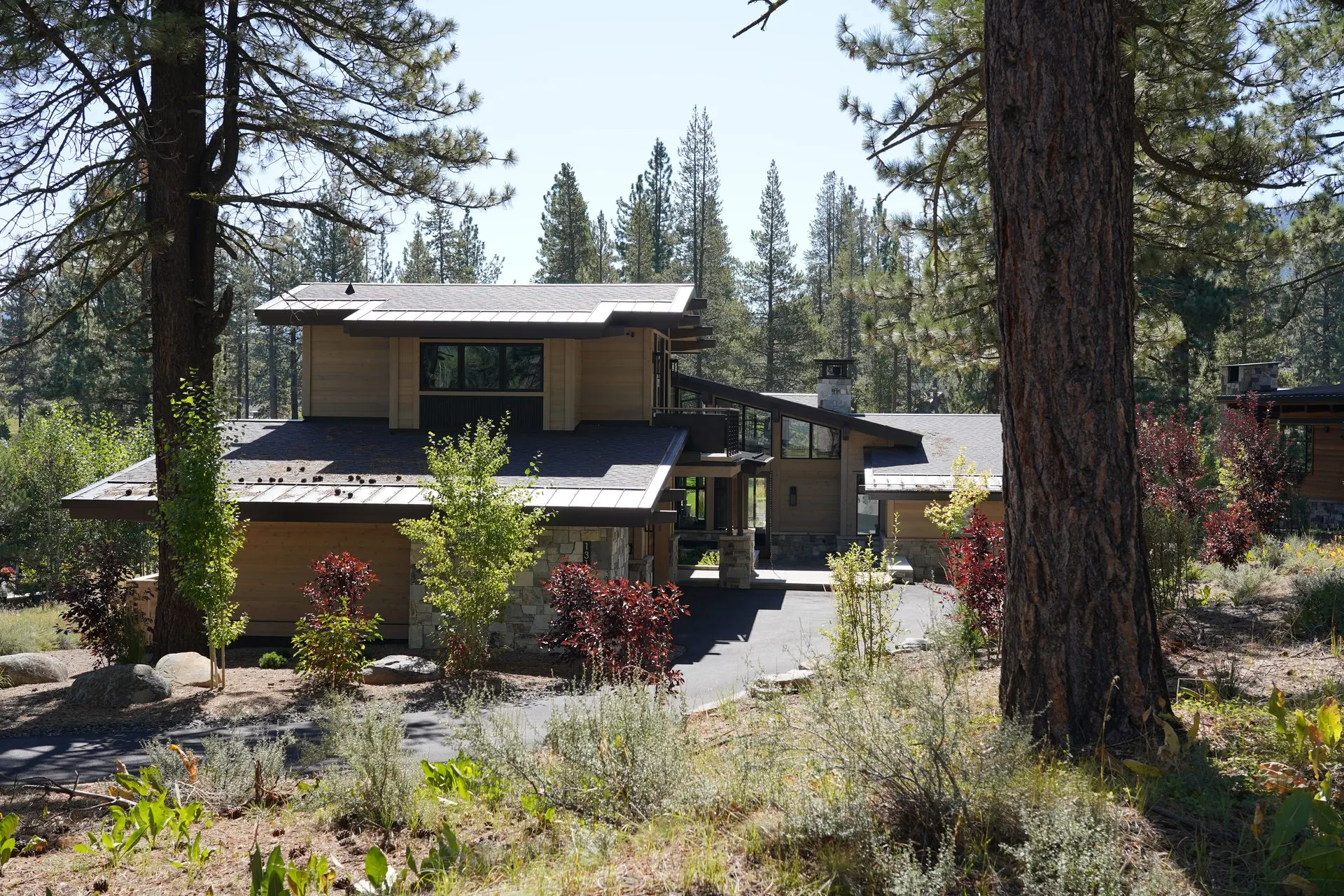 Custom forest home exterior with graded site and driveway